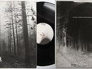 The Cure A Forest UK Orig. 1980 12inch Maxi Fiction Records