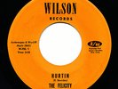 THE FELICITY (1967 Don Henley - pre Eagles) HURTIN on WILSON
