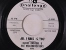 BUDDY RANDELL & KNICKERBOCKERS: All I Need Is You / Bite Bite Barracuda 45 (dj)