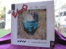 LP  Ego on the Rocks - Acid in Wounderland - Krautrock Spacy Killer