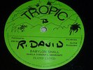 FLOYD LLOYD-Babylon Shall VINYL 12