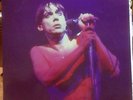 Iggy Pop Doppel LP Nightclubbing coloured Vinyl