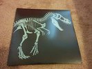 Jurassic Park 2xLP 20th Anniversary Amber Vinyl Record LP Mondo LE 1000