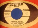 Garage Psych 45 - New Yorkers - Mr. Kirby / Seeds Of Spring -Scepter DJ Promo NM