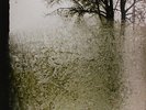 BON IVER FOR EMMA FOREVER AGO LP VINYL NEW 33RPM 2008