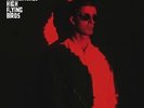 NOEL GALLAGHER'S HIGH FLYING BIRDS THE DYING OF THE LIGHT (DEMO) 10