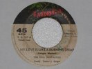 THE SOUL FANTASTICS MY LOVE IS LIKE A BURNING SPEAR LATIN SOUL PANAMA???LISTEN