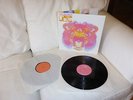 The Black Crowes Lions 2LP-Set *Mint* Originale Erstpressung 2001