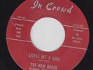 THE NEW BREED TIM & BILL Litte Bit A Soul 45 on In Crowd TX northern soul HEAR