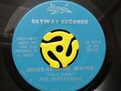 Gospel SWEET SOUL 45-The Sensational-Jesus Gave Me Water-Skyway M- HEAR