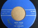 THE KINGLETS   PRETTY PLEASE   HEAR  RARE ORIG 1959 DOO WOP R&B 45 ON BOBBIN
