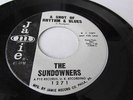 THE SUNDOWNERS FANTASTIC FRAT GARAGE ROCKABILLY JAMIE A SHOT OF RHYTHM & BLUES