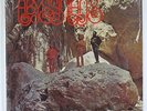 Abyssinians 