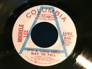 MICHELE LEE IT'S A LONG WAY TO FALL  RARE PROMO N.M    NORTHERN SOUL 45