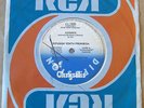 BLONDIE 45 PRO DEBBIE HARRY Atomic SOUTHAMERICA Spanish Titles 1980