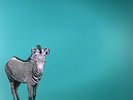 HUM - You'd Prefer An Astronaut - LP
