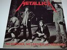 Metallica-Monsters of Rock LIVE 1985-CLEAR Vinyl