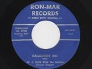 Golden Voice C&W Gospel W.C. ELLIS Gallguthry Hill/Building a Highway M- HEAR