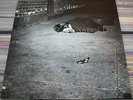 JOHN ZORN - NAKED CITY - 7559-79238-1 EU 89 ART ROCK FREE JAZZ THRASH NOISE