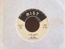 LEE COLE & The BEAU JESTERS Rockabilly 45 COOL BABY   Mist 1959