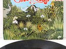 The Beach Boys - WILD HONEY - VERY RARE COVER - 60's Venezuelan pressing