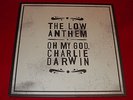 The Low Anthem - Oh My God, Charlie Darwin, Vinyl-LP, wie neu