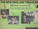 NEW ENGLAND TEEN SCENE - 60s garage punk LP - Mojos Shags Cobras Malibus Rogues