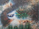 PINK FLOYD A SAUCERFUL OF SECRETS FAME FA 3163 DAVE GILMOUR PSYCH RARE ALBUM LP