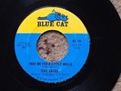 EVIE SANDS - TAKE ME FOR A LITTLE WHILE