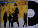 BABY ANIMALS EARLY WARNING LP MADE IN BRAZIL 1st PRESSING 1991 SUZE DeMARCHI