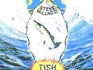 STEVE HILLAGE FISH RISING LP VINYL 33RPM NEW