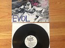 Sonic Youth - EVOL LP ORIGINAL UK PRESS Nirvana Melvins Swans Dinosaur Jr SST