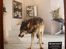 GRINDERMAN 2 180 Gram Vinyl LP CD Poster Mute UK NM Nick Cave Birthday Party
