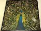 THE BLUETONES Expecting to Fly LP Numbered 2794 / 5000 Gatefold Sleeve + Booklet