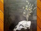 Steve Gunn & Black Twig Pickers - Seasonal Hire - Limited Edition Yellow LP