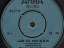 rare ETHIO JAZZ mulatu ASTATKE teshome meteku MECHE DERISHE broken flowers hear