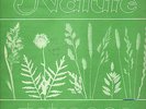 PROG-KRAUTROCK-MONSTER-LP- TETRAGON-NATURE-1971- ORIGINAL SOMA 1st PRESS