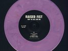 Raised Fist 7'' punk hardcore in flames touché amoré bane title fight iceage sXe