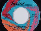 Northern Soul 45 THE PARLIAMENTS All Your Goodies Are Gone REVILOT HEAR
