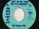 Northern Soul 45 ROYAL FIVE Ain't No Big Thing/Peace Of Mind on Arctic