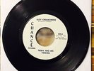 TEDDY AND HIS PATCHES SUZY CREAMCHEESE Super Rare Garage Psych Punk 45 EX