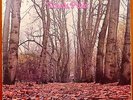 Twink - Think Pink   orig. 1st UK TOP copy incl. rare insert sheet