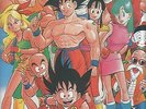 DRAGON BALL Z LP Spain 1992 T.V. Serie In Spanish