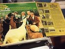 The Beach Boys - Pet Sounds MONO US FIRST PRESSING T 2458 SCRANTON PRESS LP