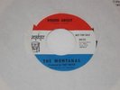 THE MONTANAS  ROUND ABOUT /  HEAVEN HELP YOU  FREAKBEAT  VG++ INDEPENDENCE  R110