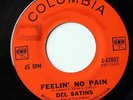 DEL SATINS Doo Wop 45rpm Feelin No Pain b/w Who Cares Columbia 42802 LISTEN