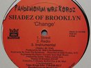 SHADEZ OF BROOKLYN Change/ When It Rains 12