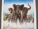 Elvis Costello - Armed Forces - Mobile Fidelity Sound Lab