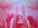 COS VIVA BOMA LP NM- IBC prog