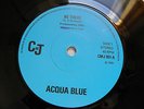 Acqua Blue-Be There-UK Vinyl CMJ 7”-DIY Private Acid Folk Popsike-1979-HEAR